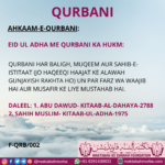 QURBANI HAR BALIGH, MUQEEM AUR SAHIB-E-ISTITAAT (JO HAQEEQI HAAJAT KE ALAWAH GUNJAYISH RAKHTA HO) UN PAR FARZ WA WAAJIB HAI AUR MUSAFIR KE LIYE MUSTAHAB HAI. DALEEL: 1. ABU DAWUD- KITAAB-AL-DAHAYA-2788 2. SAHIH MUSLIM- KITAAB-UL-ADHA-1975