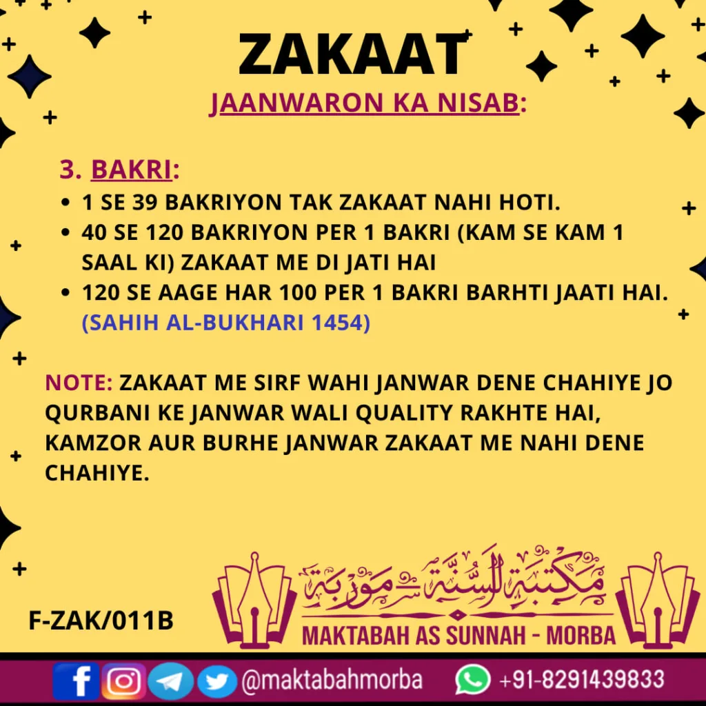 Zakaat-Jaanwaron ka nisab (part2)