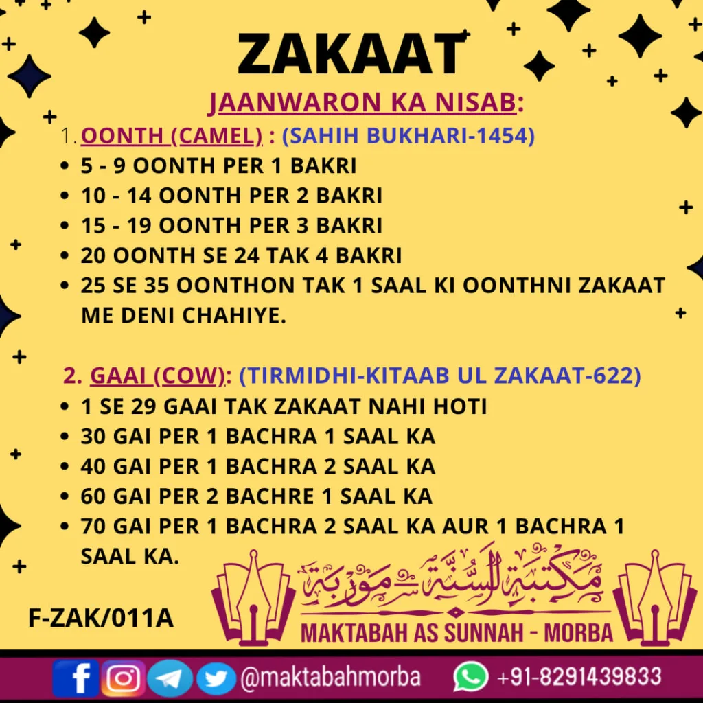 Zakaat-Jaanwaron ka nisaab (part1)