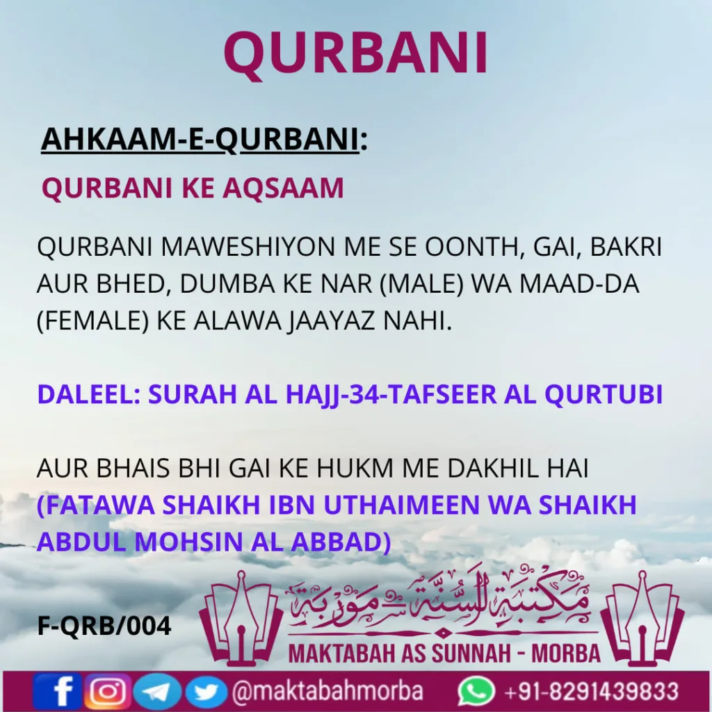 QURBANI MAWESHIYON ME SE OONTH, GAI, BAKRI AUR BHED, DUMBA KE NAR (MALE) WA MAAD-DA (FEMALE) KE ALAWA JAAYAZ NAHI. DALEEL: SURAH AL HAJJ-34-TAFSEER AL QURTUBI AUR BHAIS BHI GAI KE HUKM ME DAKHIL HAI (FATAWA SHAIKH IBN UTHAIMEEN WA SHAIKH ABDUL MOHSIN AL ABBAD)