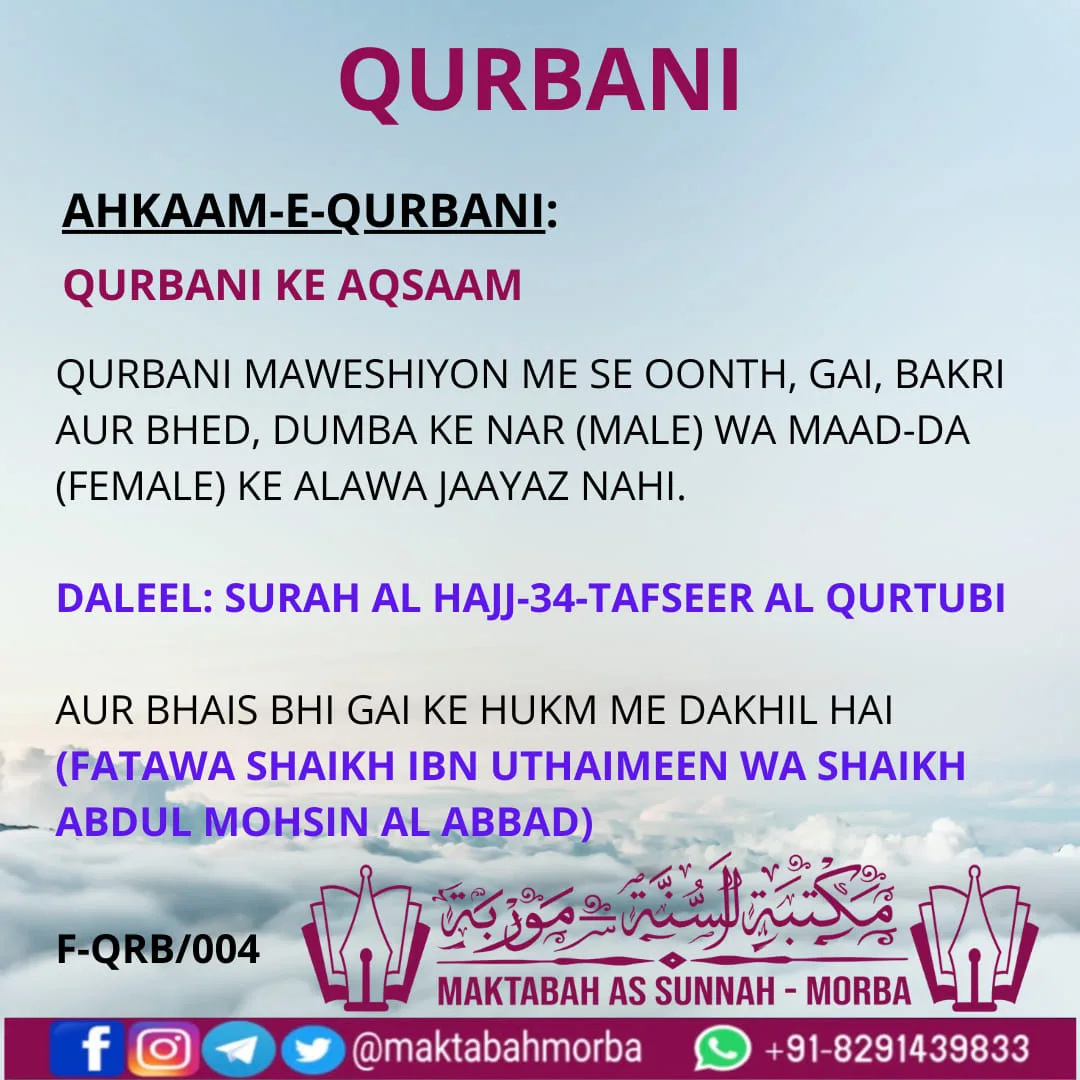 QURBANI MAWESHIYON ME SE OONTH, GAI, BAKRI AUR BHED, DUMBA KE NAR (MALE) WA MAAD-DA (FEMALE) KE ALAWA JAAYAZ NAHI. DALEEL: SURAH AL HAJJ-34-TAFSEER AL QURTUBI AUR BHAIS BHI GAI KE HUKM ME DAKHIL HAI (FATAWA SHAIKH IBN UTHAIMEEN WA SHAIKH ABDUL MOHSIN AL ABBAD)