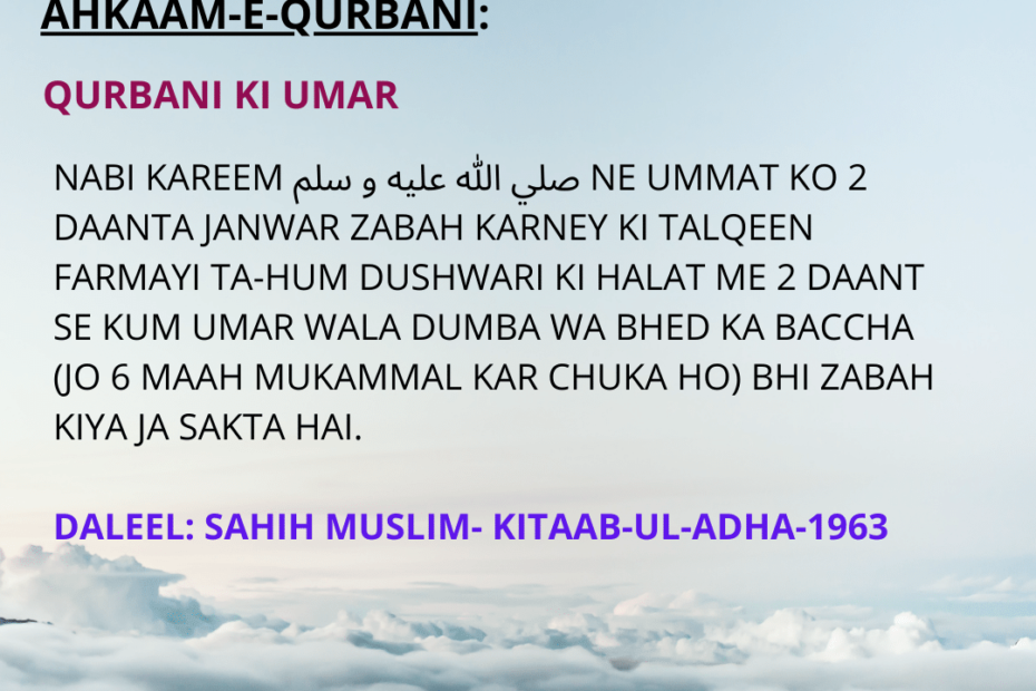 NABI KAREEM صلي الله عليه و سلم NE UMMAT KO 2 DAANTA JANWAR ZABAH KARNEY KI TALQEEN FARMAYI TA-HUM DUSHWARI KI HALAT ME 2 DAANT SE KUM UMAR WALA DUMBA WA BHED KA BACCHA (JO 6 MAAH MUKAMMAL KAR CHUKA HO) BHI ZABAH KIYA JA SAKTA HAI. DALEEL: SAHIH MUSLIM- KITAAB-UL-ADHA-1963